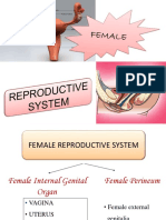 Female Reproductive System Anatomy and Disorders