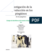 Investigación de La Reproducción en Los Pingüinos