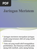 Download Jaringan Meristem by DeniSusanto SN40241018 doc pdf