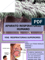 APARATO_RESPIRATORIO_HUMANO2018.ppt
