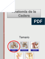 Anatomia de La Cadera