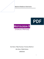 Histologia II - Sistema Circulatório