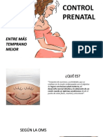 Control Prenatal Definitivo