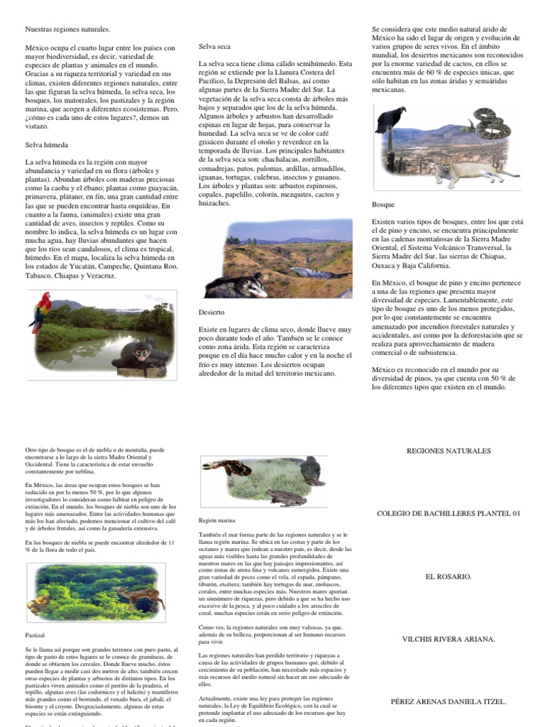 Nuestras Regiones Naturales | PDF | Selva | Desierto