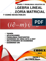 Codex 2019 Algebra Lineal Tomo i 1