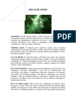 ERVAS DE OSSÃE.pdf