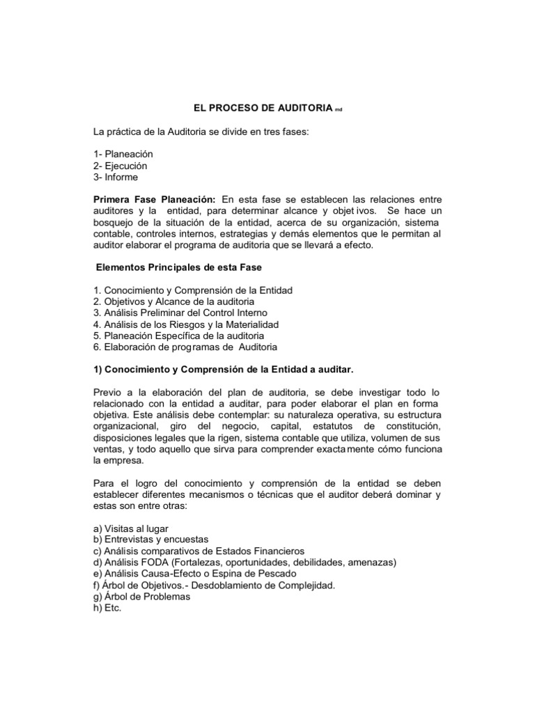 El Proceso de Auditoria MD | PDF