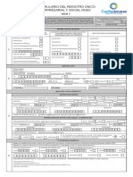 DescargarFormularioRenovacion PDF