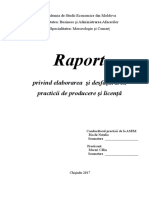 Raport: Privind Elaborarea Şi Desfăşurarea Practicii de Producere Şi Licenţă