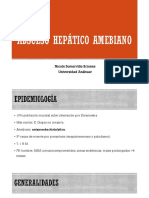 Absceso hepático amebiano: causas, síntomas y tratamiento