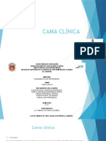 CAMA CLÍNICA - PPTX Fundamentos