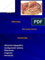 Glándula Anexa Del Aparato Digestiva, Pancreas. Aspectos Importantes y Relevantes