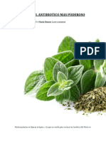 OREGANO.docx