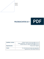 Filosilicatos 21.pdf
