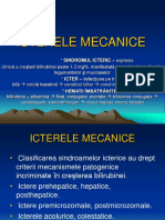 Icterul Mecanic