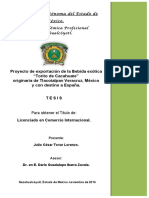 TESIS - COMPLETA - 9 El Torito PDF