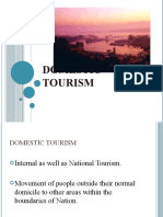 Domestic Tourism