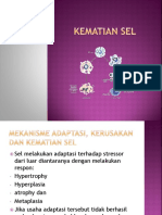 Adaptasi Jejas Dan Kematian Sel