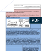 02 - Sistemas Silvopastoriles