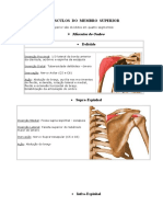 1 MÚSCULOS Do Membro Superior Ombro