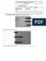 Evaluación 2do Forma B