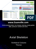 Axial Skeleton Tutorial - Vertebral