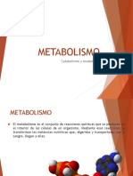 Metabolismo PPT
