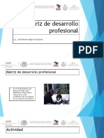 Matriz de Desarrollo Profesional