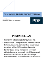 Glaukoma Sudut Terbuka Jos