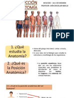 Introduccion A La Anatomia - 3ro de Primaria