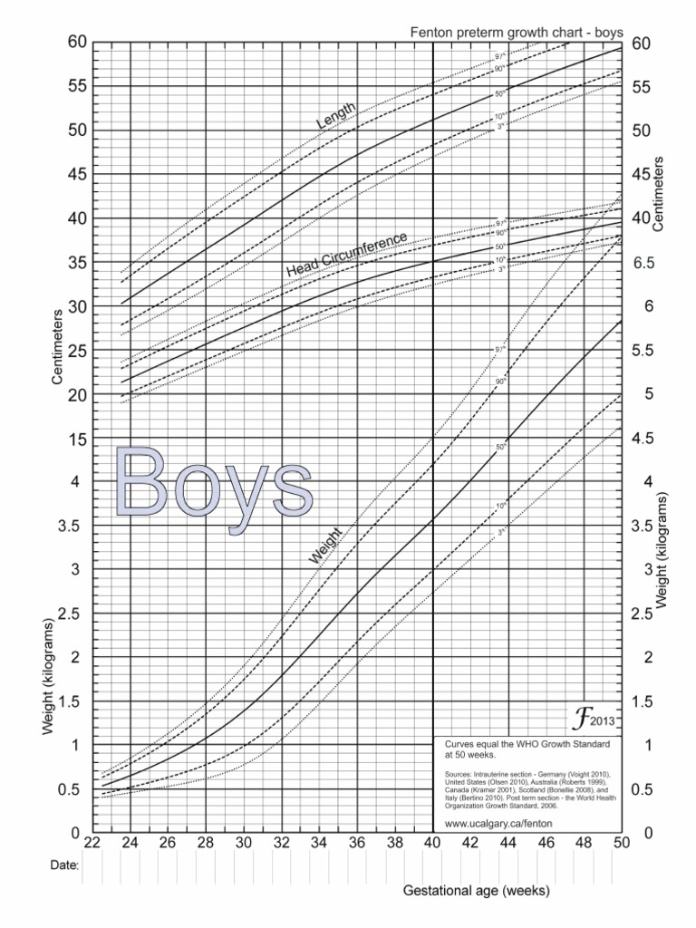 Fenton Growth Chart Boys PDF  PDF
