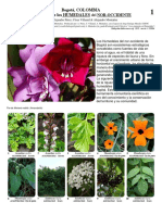 817 Plantas de Los Humedales PDF