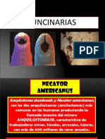 Uncinarias.pdf