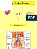 Urinary System Diseases: Pathophysiology