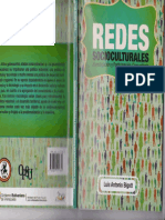 Bigott Redes Socioculturales PDF