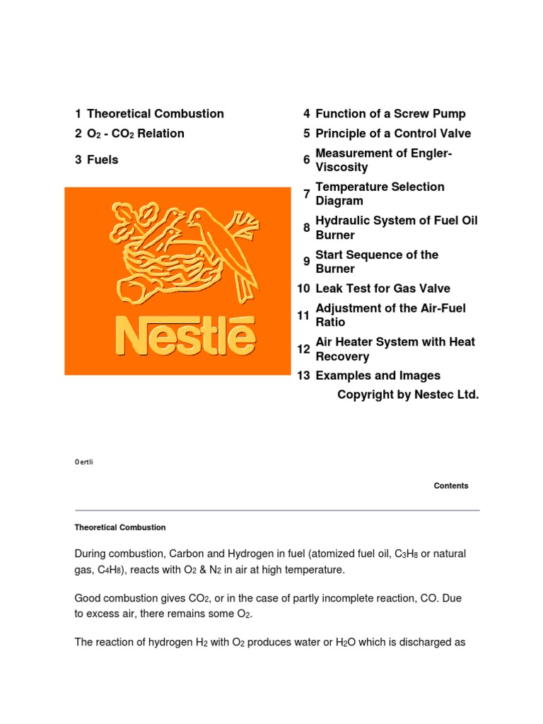 Combustion Fundamentals | PDF | Combustion | Fuel Oil