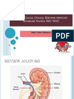 Askep Gagal Ginjal Kronik Dengan Aplikasi Nanda NIC