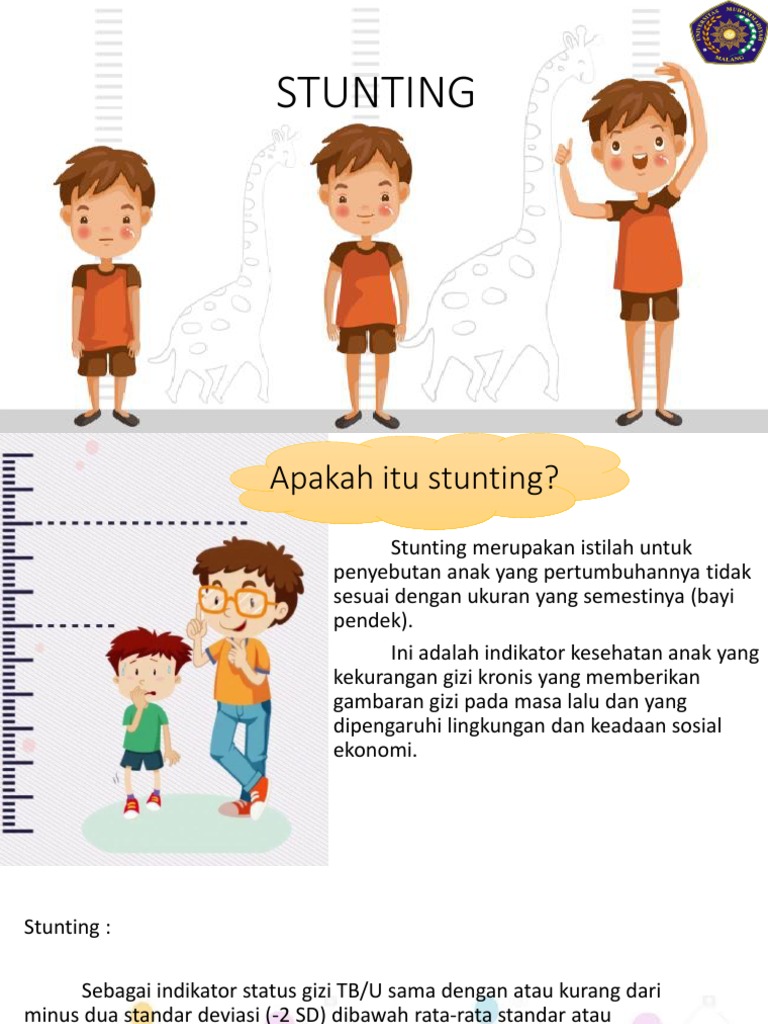 Infographic Stunting