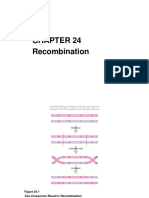 Recombination: Molecular Biology, 2 Edition by Clark and Pazdernik