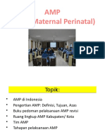 AMP (Audit Maternal Perinatal)