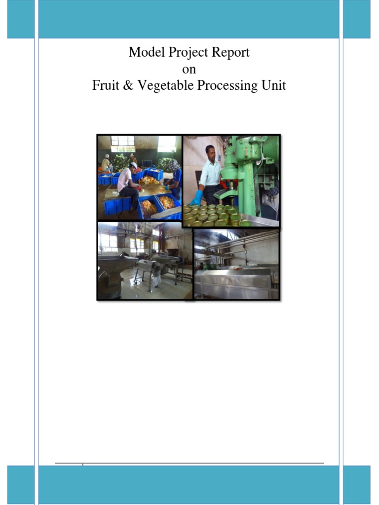 Model Project Report On Fruit & Vegetable Processing Unit | PDF | Fruit ...