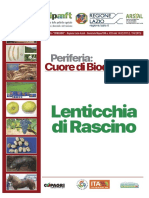 01 Lenticchie Rascino 01-08