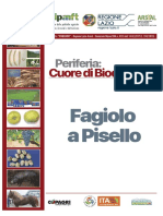 04 Fagiolo A Pisello 25-32