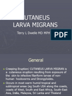Cutaneous Larva Migrans Lin