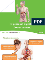 Sistema Digestivo Ser Humano