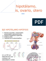 Eje Hipotálamo, Hipófisis, Ovario, Útero