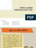 Infeksi Saluran Pernafasan Akut (Ispa)