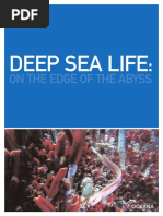 Deep_Sea_Life_ENG.pdf