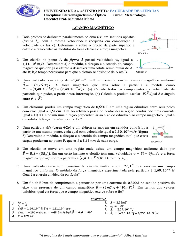 Exercicios Sobre Campo Magnetico | PDF | Campo magnético | Magnetismo