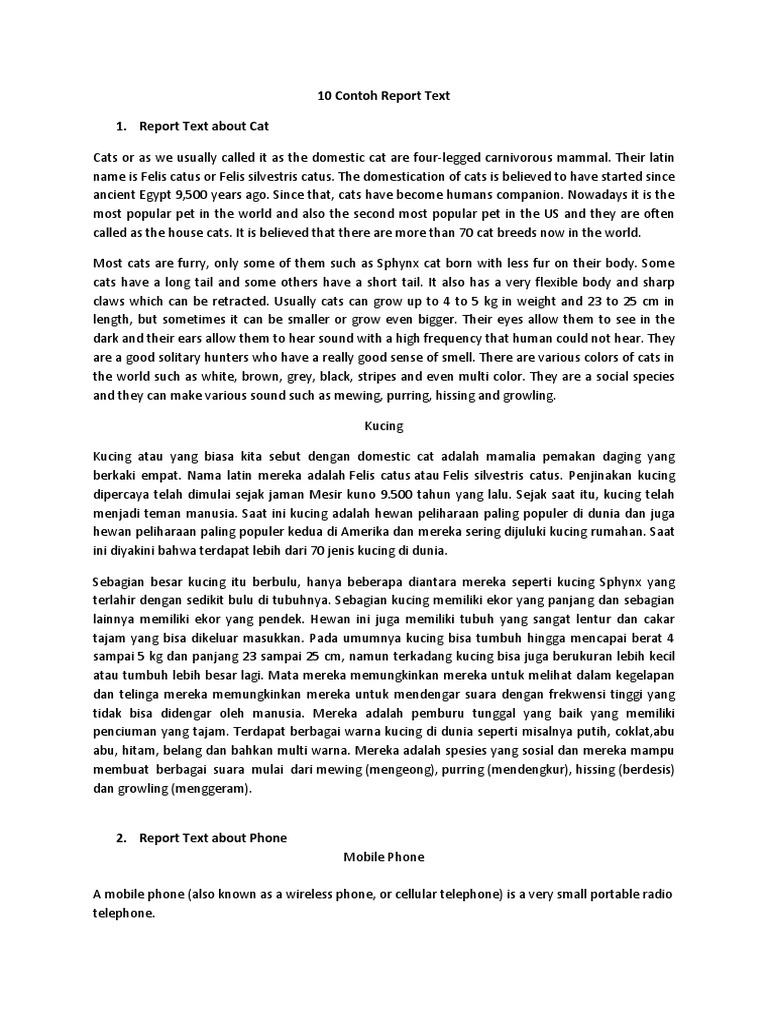 Contoh Teks Report tentang Kucing | PDF